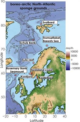 Reproductive Biology of Geodia Species (Porifera, Tetractinellida) From Boreo-Arctic North-Atlantic Deep-Sea Sponge Grounds